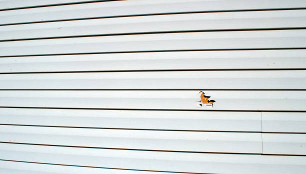 Best Fiber Cement Siding Installation  in Bensley, VA
